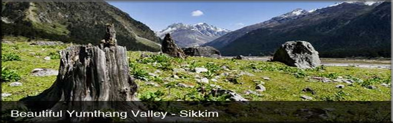 visit yumthang valley