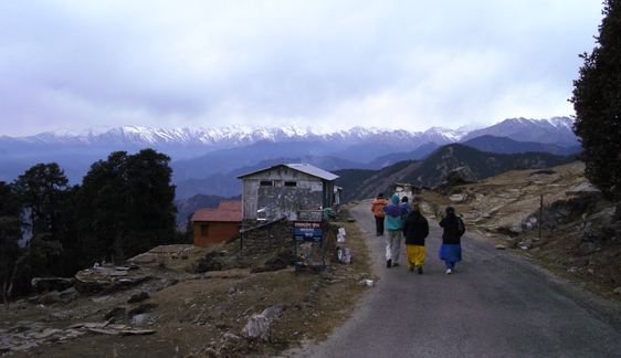 chopta-valley-flower-image