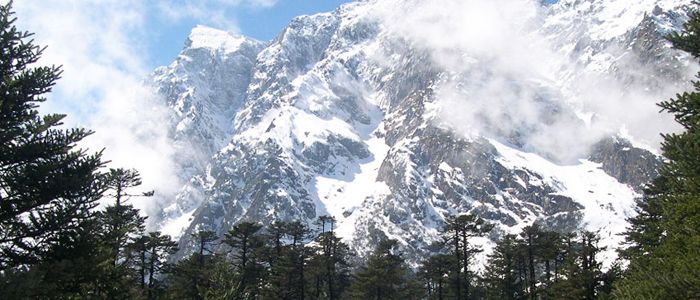 lachung-valley-image