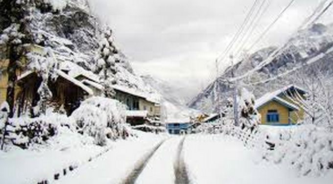 lachung-valley-flower-image