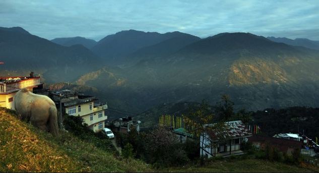 pelling-view-image