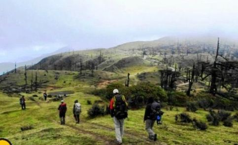 varsey Rhododendron Sanctuary