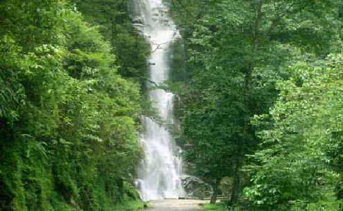 Rimbi water fall